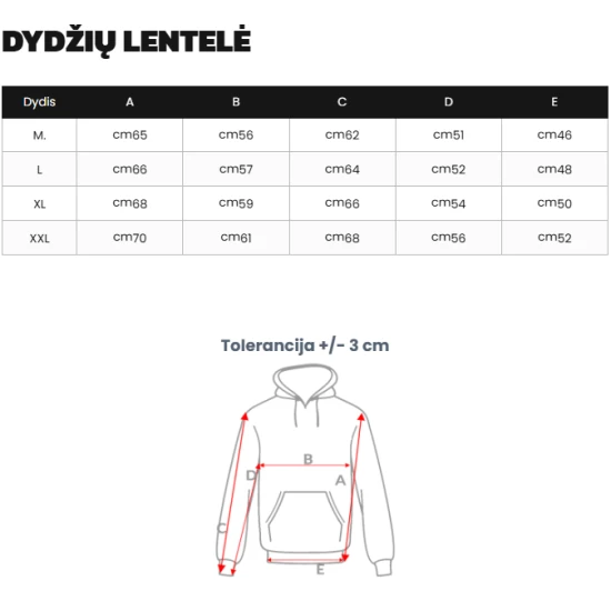 Vyriškas pilkas džemperis Best Vyriški džemperiai su gobtuvu