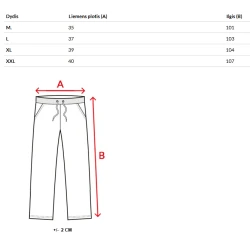 Vyriškos pilkos kelnės Dean
