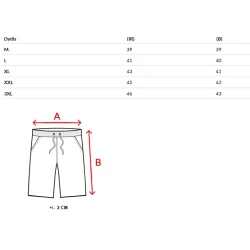 Vyriški tamsiai pilki šortai Urba 