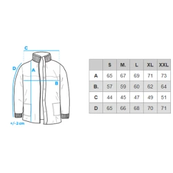 Vyriška ruda striukė Aron