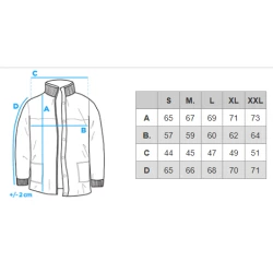 Vyriška balta/mėlyna striukė Kurtin