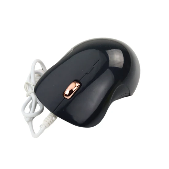 Žaislinė balta siuvimo mašina Buitiniai prietaisai, virtuvės