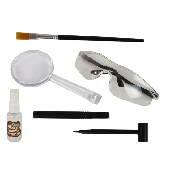 Archeologijos inkinys su dinozauro skeletu ir archelogo įrankiais Dinozaurai