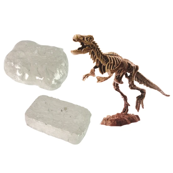 Archeologijos inkinys su dinozauro skeletu ir archelogo įrankiais Dinozaurai