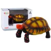 Brown/black turtle figurine Dolls and game sets