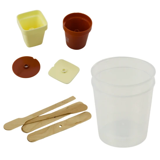 Kristalinių medžių auginimo rinkinys Lavinamieji