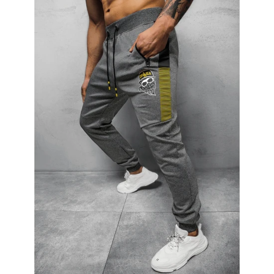 Vyriškos tamsiai pilkos laisvalaikio kelnės Liter JS/K10250