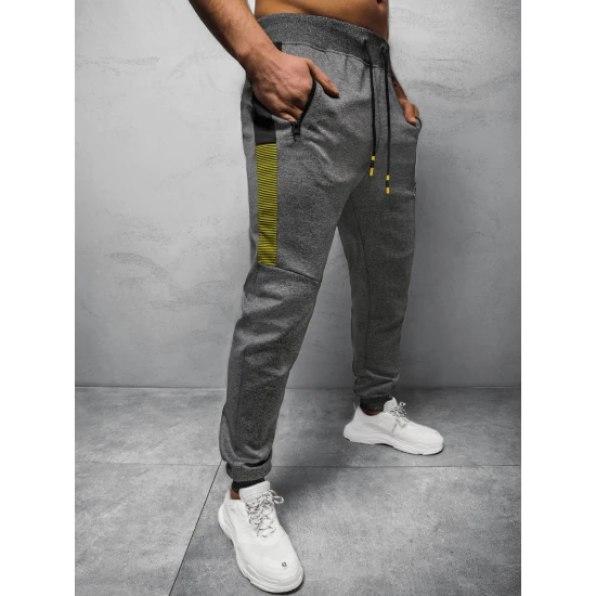 Vyriškos tamsiai pilkos laisvalaikio kelnės Liter JS/K10250