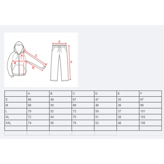 Pilkas vyriškas sportinis komplektas Teron PK3005 Premium