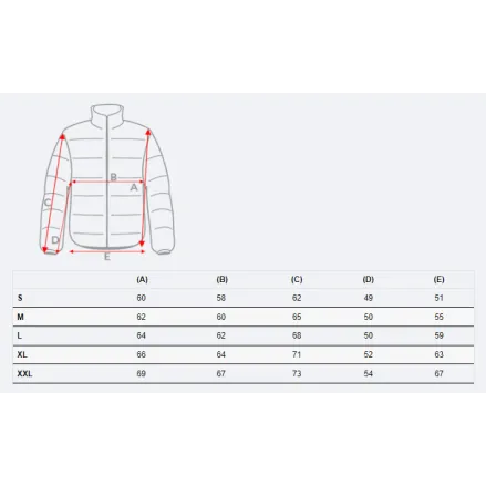 Pilka vyriška striukė Donald PK9353 Premium