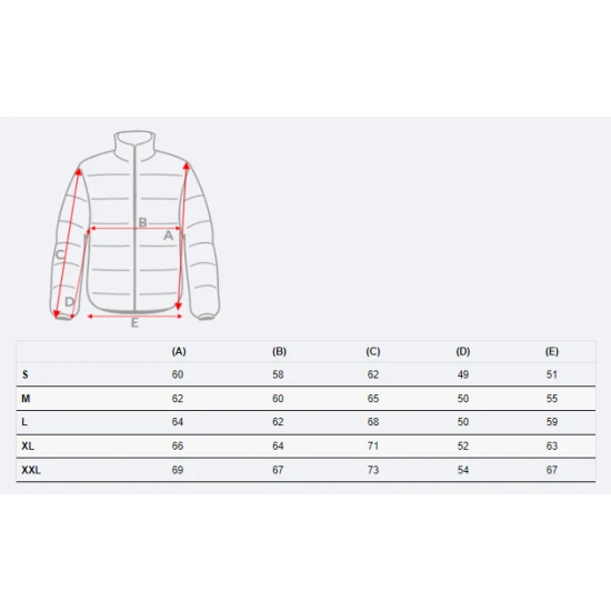 Pilka vyriška striukė Donald PK9353 Premium